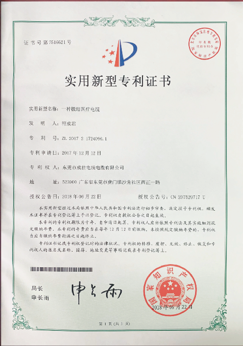 专利1