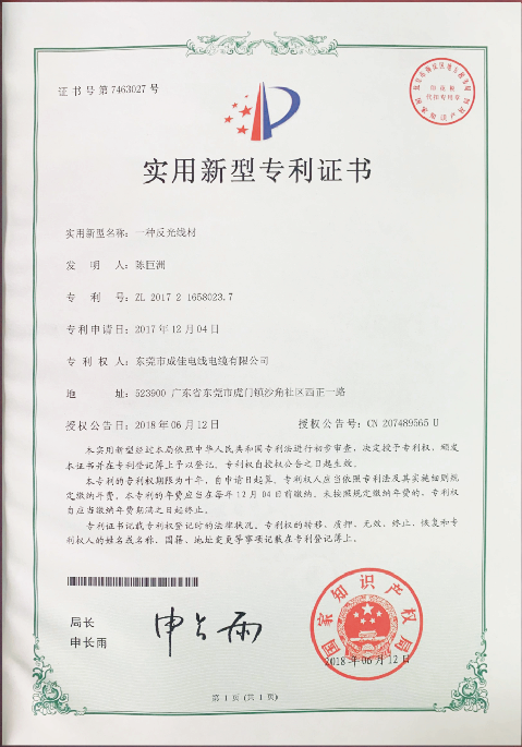 专利2
