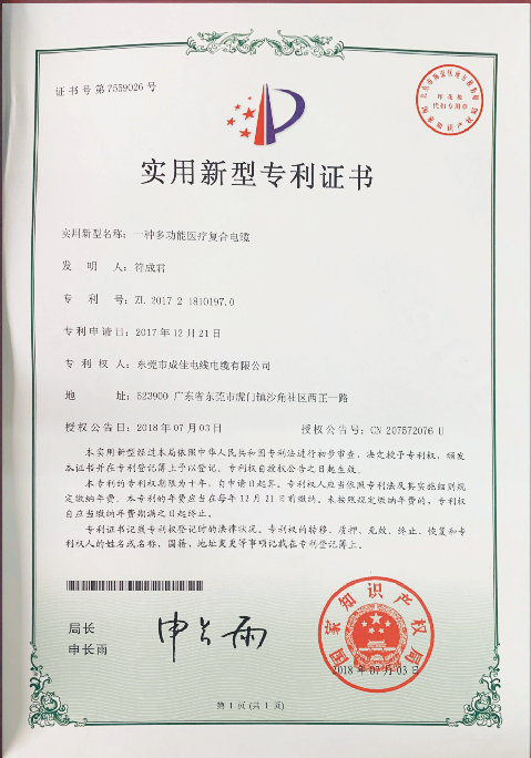 专利3