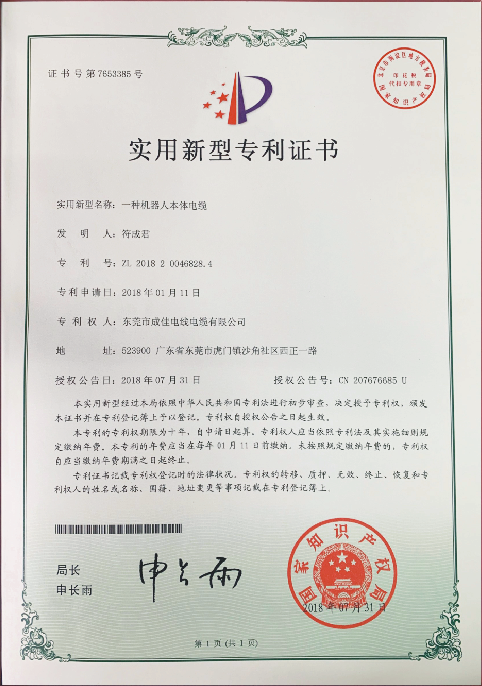 专利5