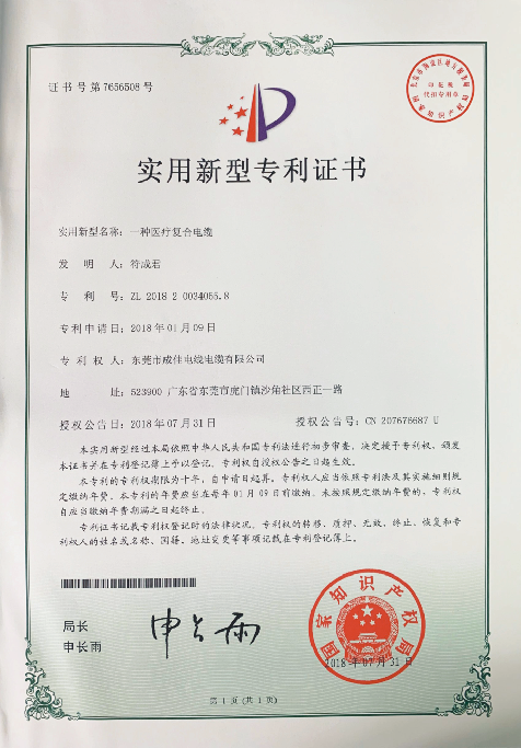 专利6