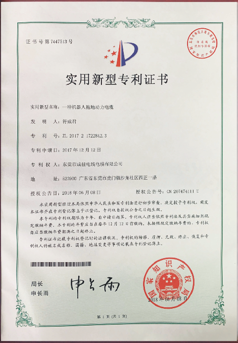 专利7