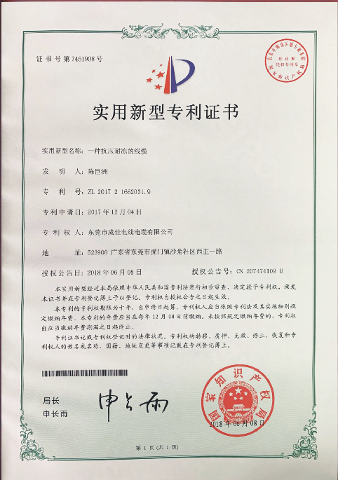 专利8