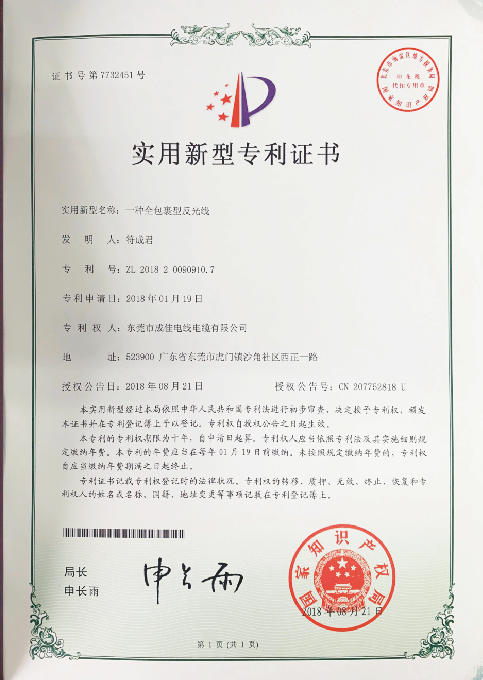 专利9